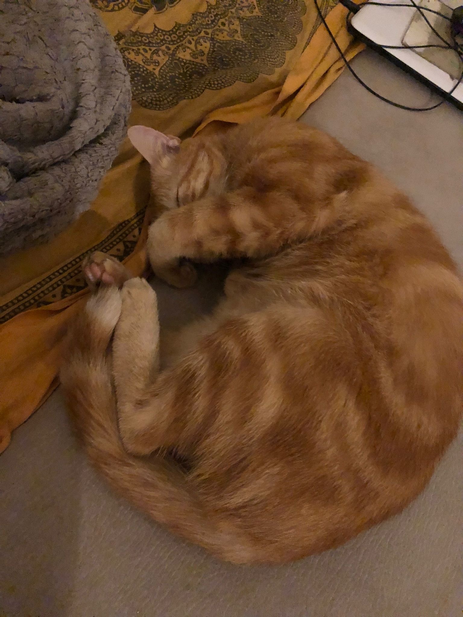 Profil de Macire, 20 ans, Sex à Dorscheid