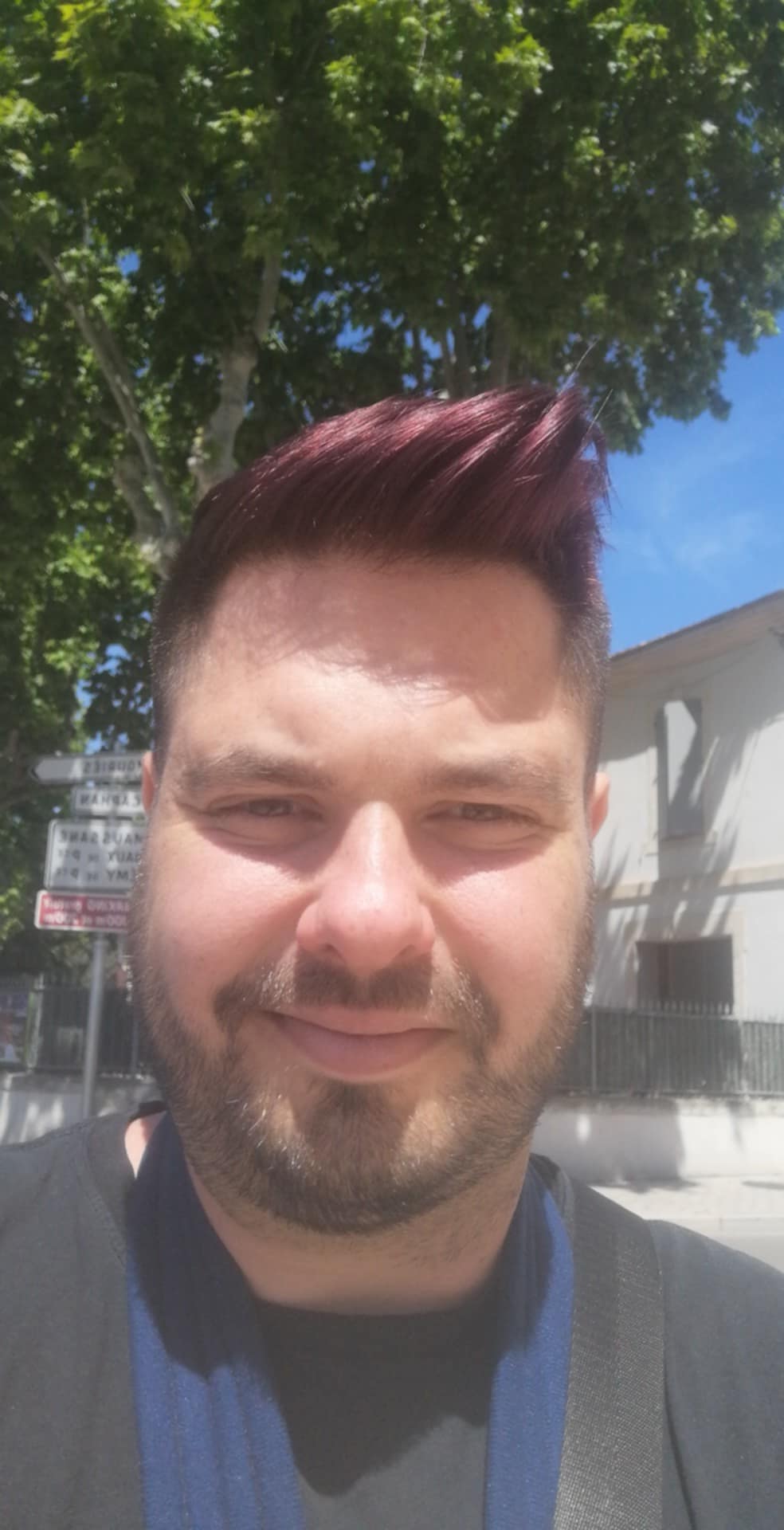Profil de Manil, 33 ans, Sex à Consthum