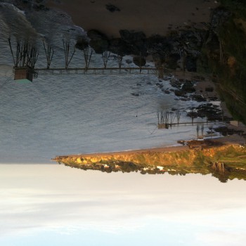 Profil de Kamar, 37 ans, Sex à Ringel